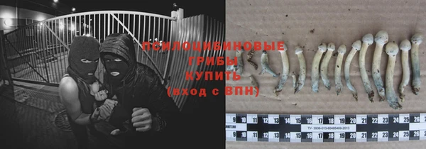 Альфа ПВП Пестово