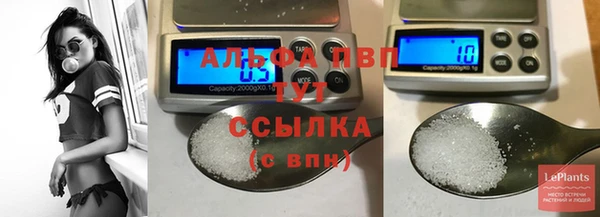 крисы Абаза
