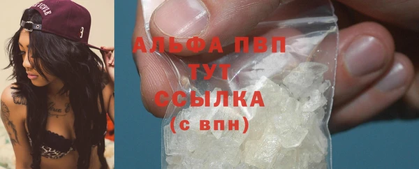 прущие крисы Пересвет