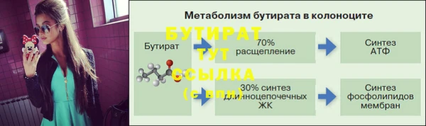 крисы Абаза
