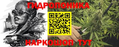 соль ск Кингисепп
