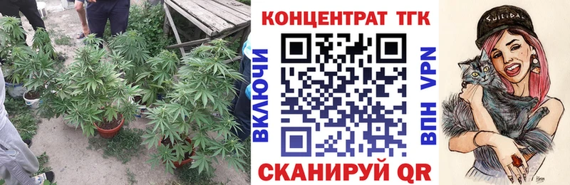 KRAKEN   Костомукша  ТГК Wax 