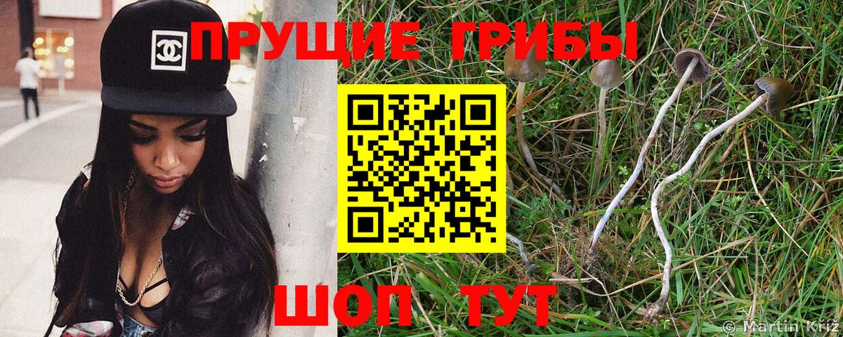 Псилоцибиновые грибы мицелий  Вход с VPN  Костомукша 